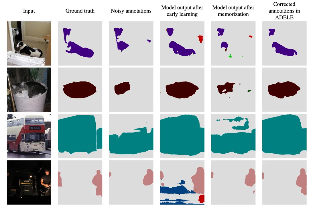 ADELE adaptive early-learning correction for segmentation from noisy annotations